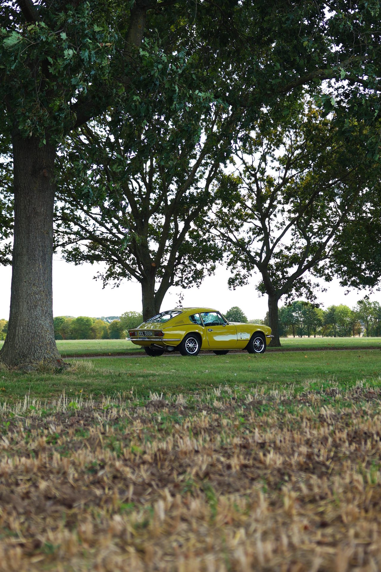 1974 Triumph GT6 Mk3 or £15K image 15