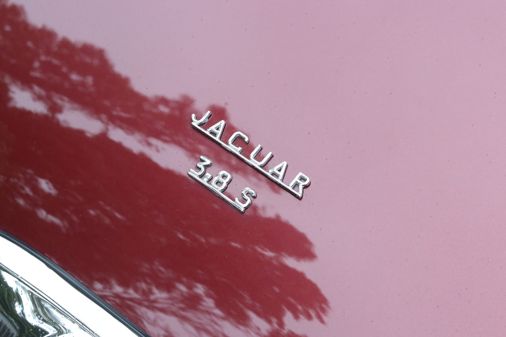 Win This 1964 Jaguar S-Type image 12