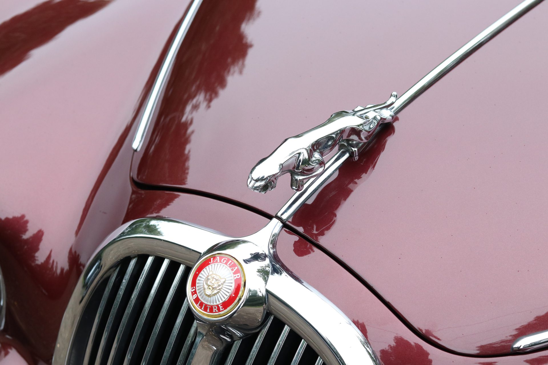 Win This 1964 Jaguar S-Type image 13